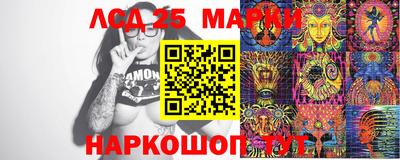 шишки Кимры