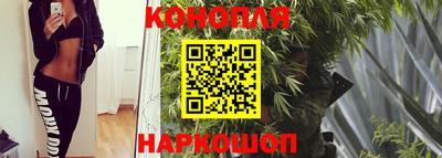 шишки Кимры
