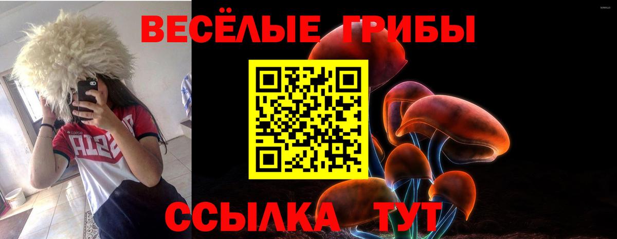 Галлюциногенные грибы Psilocybine cubensis Кунгур